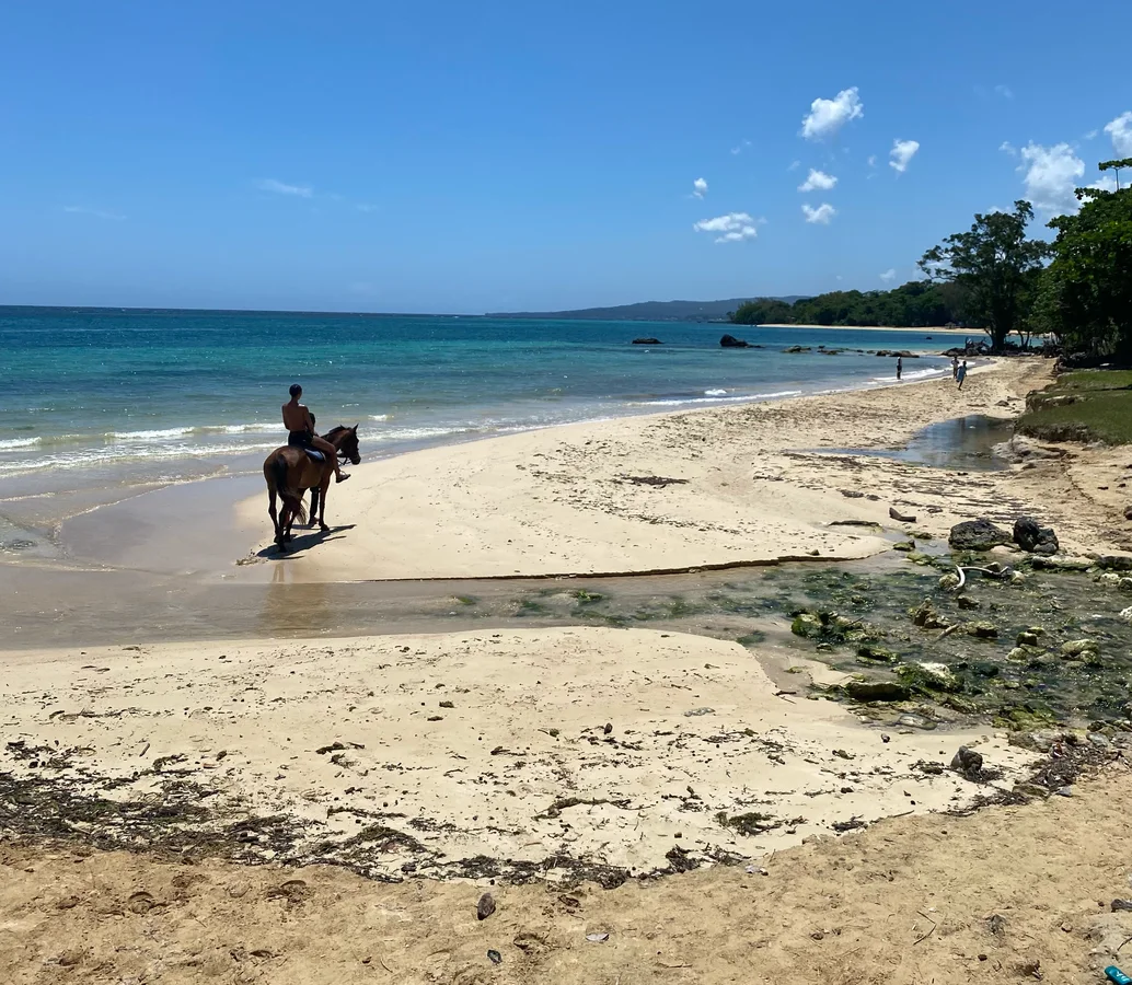 A horseback rider along the shoreline